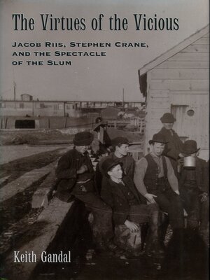 cover image of The Virtues of the Vicious